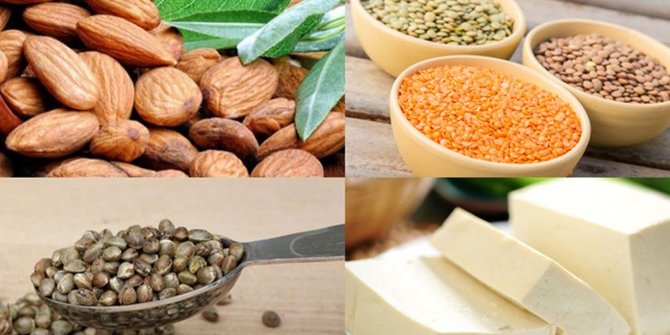 Tambahan Protein pada Camilan Harian Penting untuk Kehidupan Sehari-Hari