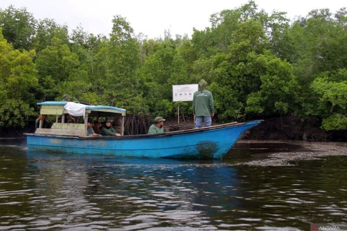 Desa Teluk Pambang, Sukses Turunkan Laju Kerusakan Hutan Mangrove 96 Persen