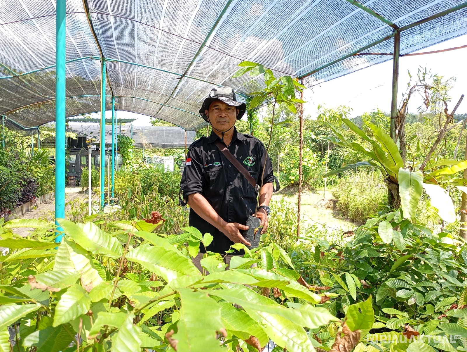 Sinergi Demi Lestari, Membangun Kehidupan Harmonis Antara Gajah dan Manusia Dalam Lingkup Agroforestri