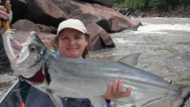 10 Ikan Paling Berbahaya di Dunia