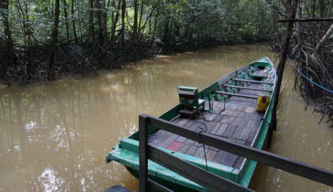 Menikmati Hutan Mangrove dan Bekantan di Balikpapan