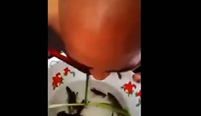 Gila, Pria Ini Makan Sup Udang dan Ikan yang Masih Hidup