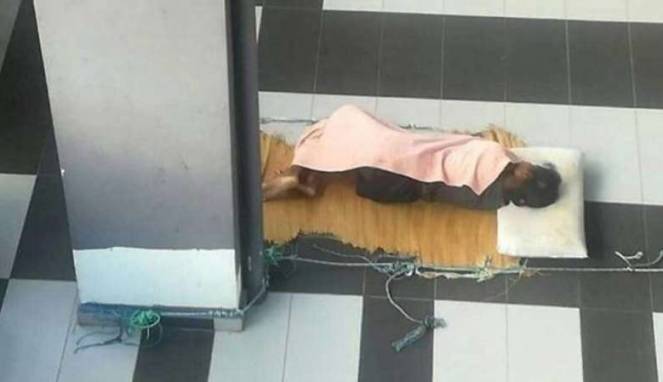 Polisi Bekuk Perekrut TKI Adelina yang Tewas di Malaysia