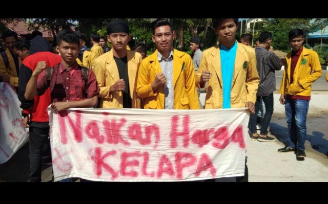 Ini Penjelasan Pemkab Inhil Tentang Turunnya Harga Kelapa