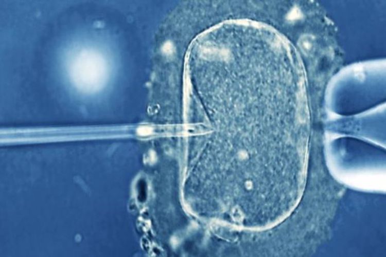 Kisah Pilu Tiantian, Lahir Setelah Orangtuanya Meninggal 4 Tahun Lalu