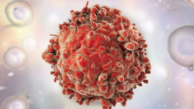 Cara Alami Ini Turunkan Risiko Kanker Hingga 40 Persen