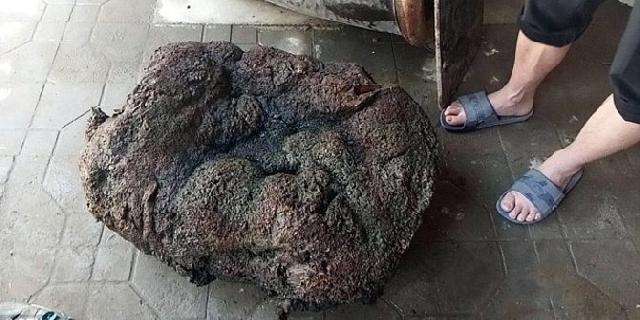 Ibu ini ingin jual jamur raksasa buat biaya nikah anaknya