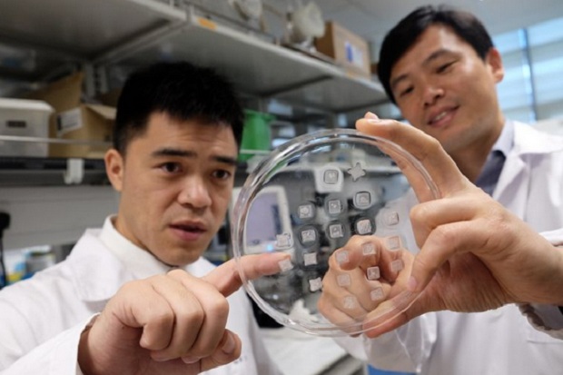 Wow! Ilmuwan Ini Ciptakan Koyo Pembakar Lemak