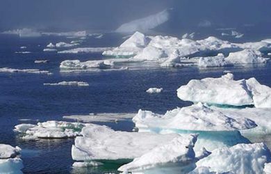 Es di Kutub Utara Diprediksi Bakal Menghilang pada Tahun 2050