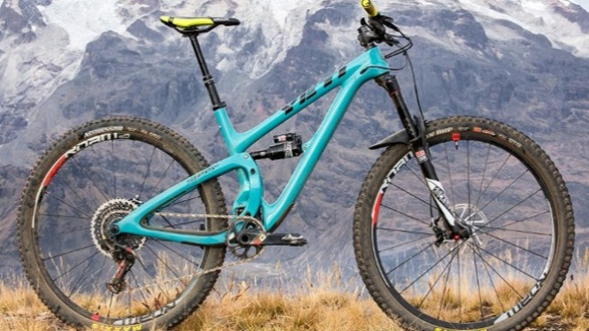 8 Sepeda Gunung (MTB) Paling Mahal