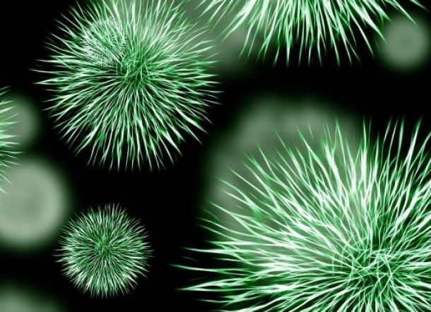 Delapan Kasus Virus Corona di Amerika, Pentagon Siapkan Karantina