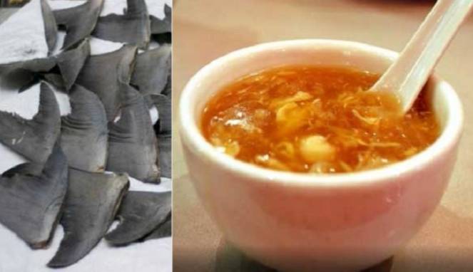 Miris, Sup Sirip Ikan Hiu Dijual Legal