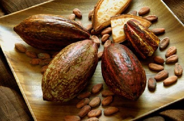 Harga Cokelat Merosot Paling Tajam