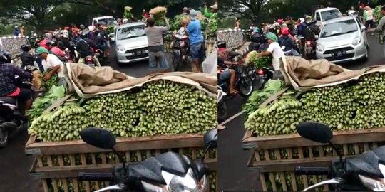 Kesal Dagangan Tak Laku Efek Lockdown, Pedagang Sayur di Malang Buang dan Bagikan Gratis
