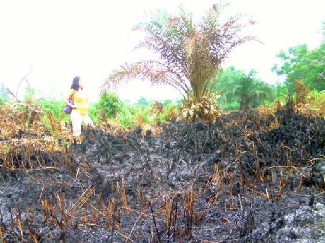 Pemko Pekanbaru: Jangan Membakar Lahan 