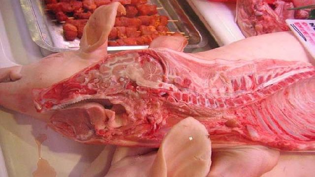 Inilah Sepuluh Alasan Mengapa Islam Mengharamkan Babi