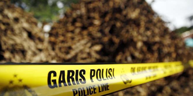 Polda Riau Tangkap Tiga Truk Pengangkut Kayu Ilegal