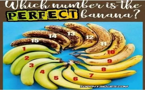 Gara-Gara Foto Ini, Netizen Berdebat Soal Tingkat Kematangan Pisang