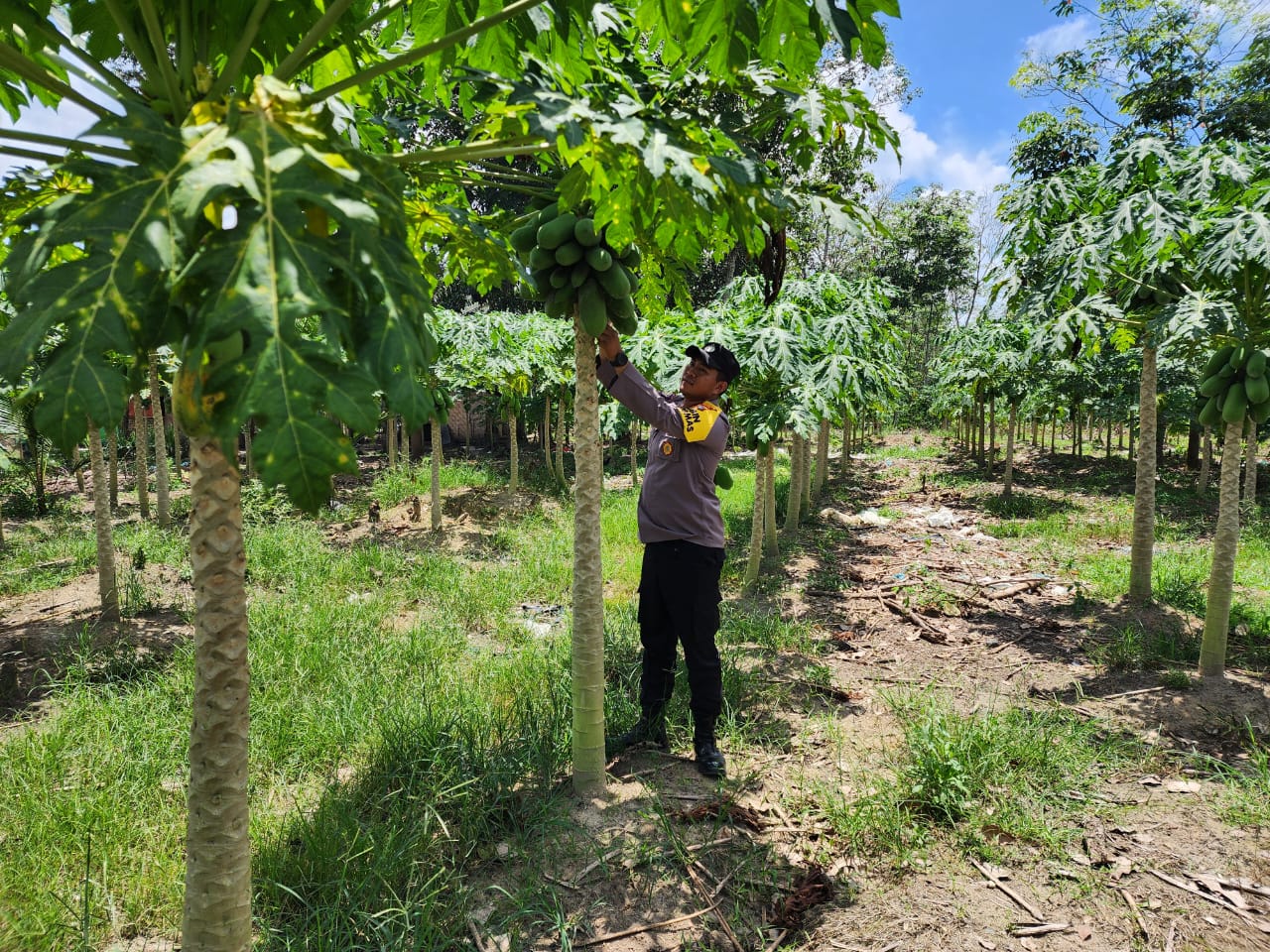 Dukung Asta Cita, Polsek Bangko Pusako Gelar Program Ketahanan Pangan