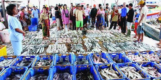 Ingat! Anak Jangan Sering Konsumsi Ikan Ini Jika Tak Mau Kesehatannya Terganggu