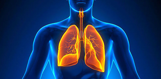 HEBAT! 3 Bahan Ini Keluarkan Lendir dari Paru dan Perkuat Kekebalan Tubuh