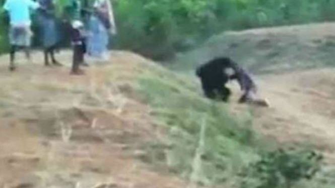 Mengerikan, Sopir Taksi Dibunuh Beruang Saat Selfie