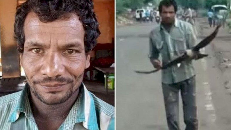 Kawanan Gagak Bertahun-tahun Serang Pria Asal India Ini, Seperti Dendam Kesumat!