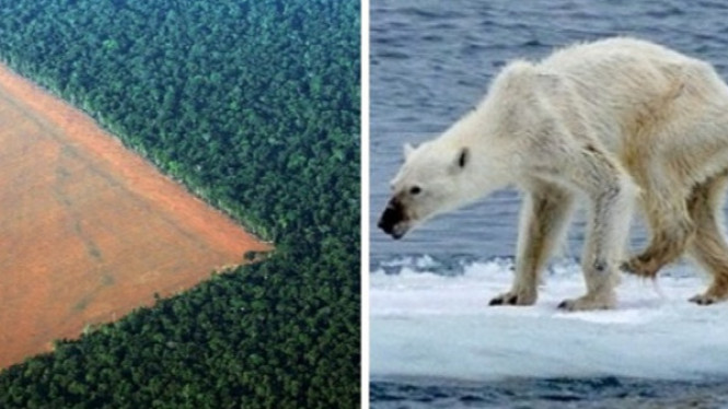 Delapan Foto Menyedihkan Hubungan Antara Manusia dan Alam