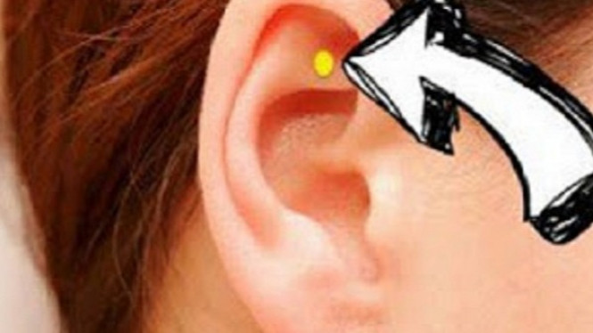 Stabilkan Fungsi Tubuh dengan Memijat Titik Ini di Telinga