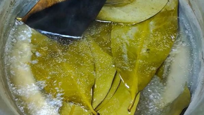 Begini Hasilnya jika Minum Air Rebusan Daun Salam