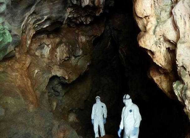 Gua Kelelawar China Bisa Jadi Kunci Penyembuhan Corona, Warga di Dekatnya Justru Kebal