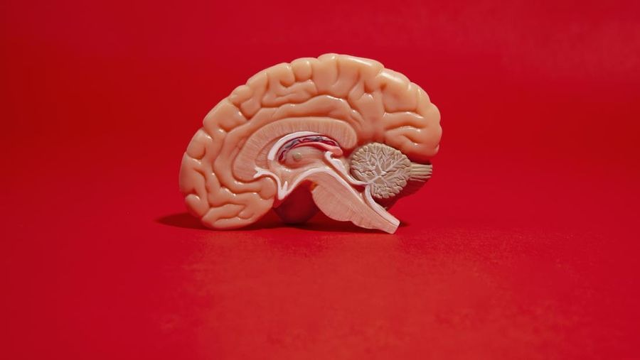 3 Kebiasaan Sehari-hari yang Merusak Sel Otak Menurut Ahli Saraf