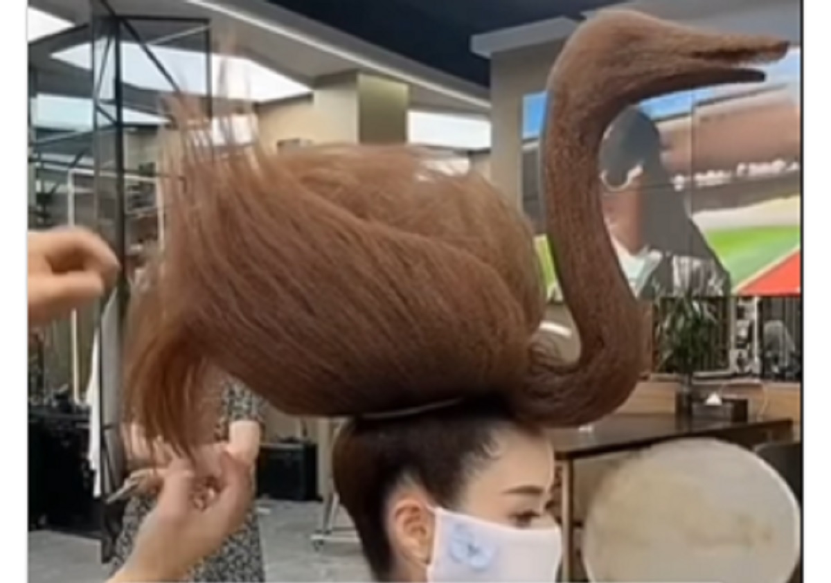 Rambut Model Angsa Viral, Cocok untuk yang Suka Antimainstream