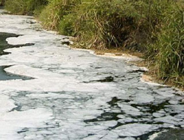 Belum Lama Operasi, PT LIL Diduga Cemari Lingkungan