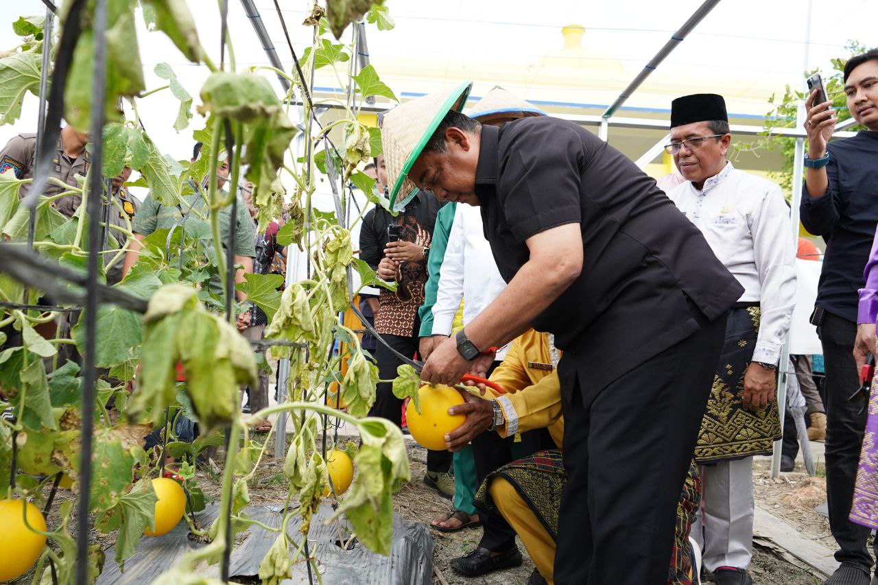 Kunker ke Rohil, Wagubri Panen Buah di Taman Edukasi Pertanian