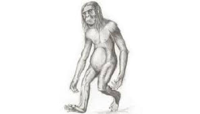 Awal Mula Orang Pendek Masuk Indonesia