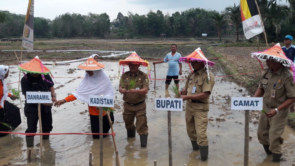 Hadiri Doa Padang, Bupati Lakukan Tanam Perdana di Desa Pulau Lancang