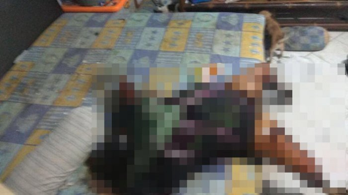 11 Anjing yang Gerogoti Jenazah Penjaga Kos Bikin Resah Warga