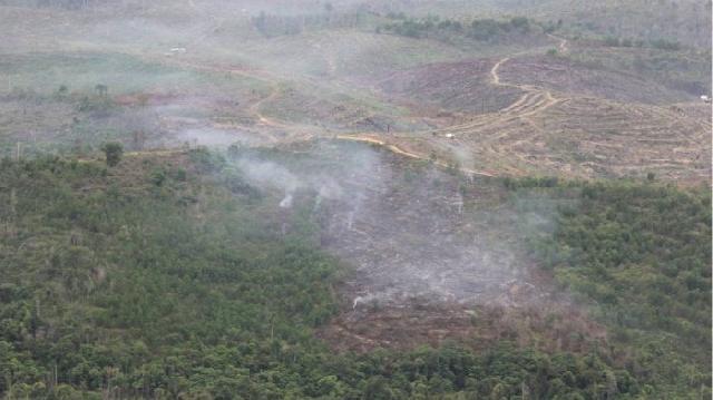 Patroli Udara Heli Super Puma TNI AU Temukan Lahan Terbakar dan Gubuk
