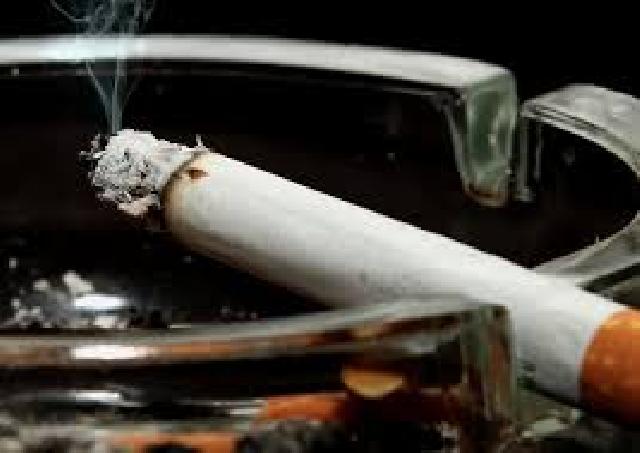 Hanya butuh sebatang rokok untuk bikin sperma keok