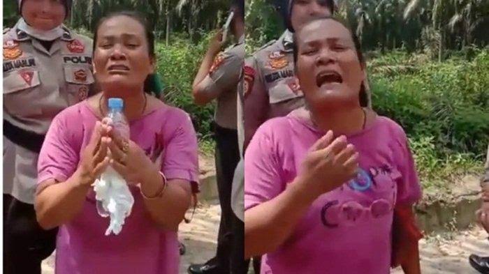 Viral Warga Siak Menangis, Gubernur Cek Ganti Rugi Lahan Murah Untuk Tol