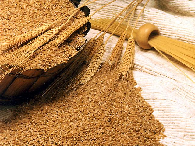 Indonesia-G33 serukan kedaulatan dan keamanan pangan