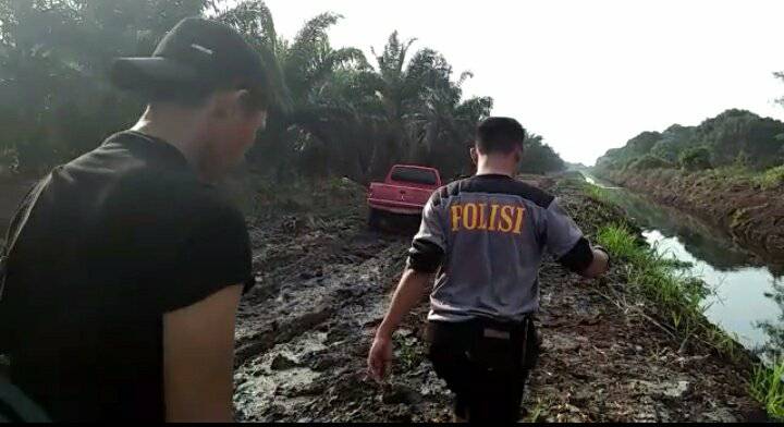 Begini Upaya Tim Terpadu Penyelamatan Harimau Sumatera Bonita di Inhil Saat Penyisiran