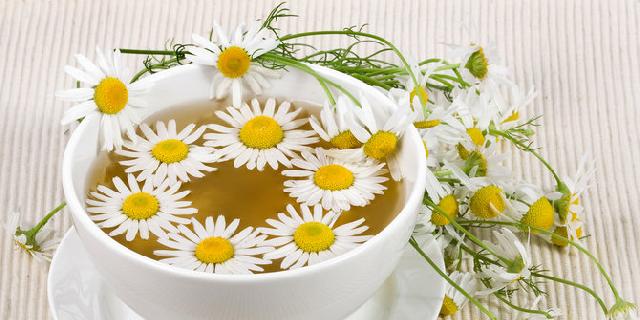 5 Teh yang bikin lemak tubuh meleleh, apa saja?