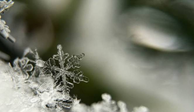 Mayat Beku Bisa Dihidupkan Kembali dan Tampil Lebih Muda