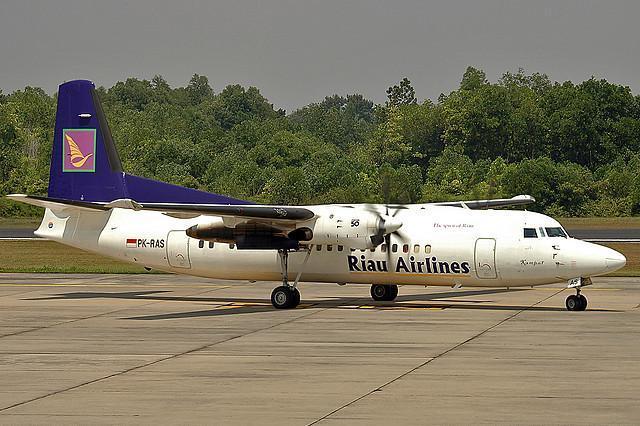 Status Pailit RAL Dicabut, Pengadilan Niaga Medan Kabulkan Permohonan Damai