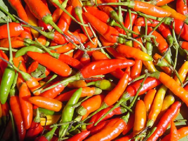 Erupsi Gunung Sinabung, Harga Cabe Rawit Meroket Naik