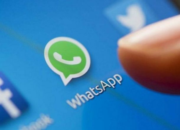 Siapa yang Paling Sering Kamu Temani Chattingan di WhatsApp, Intip Disini