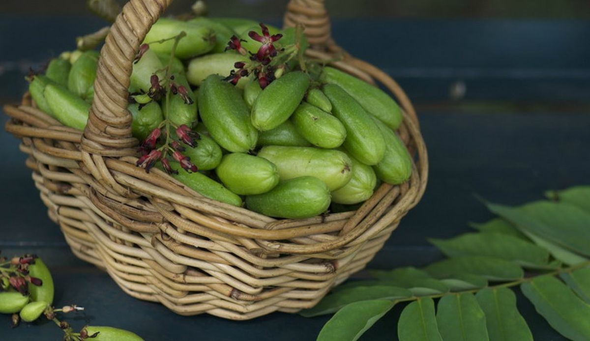 6 Manfaat Belimbing Wuluh untuk Wajah