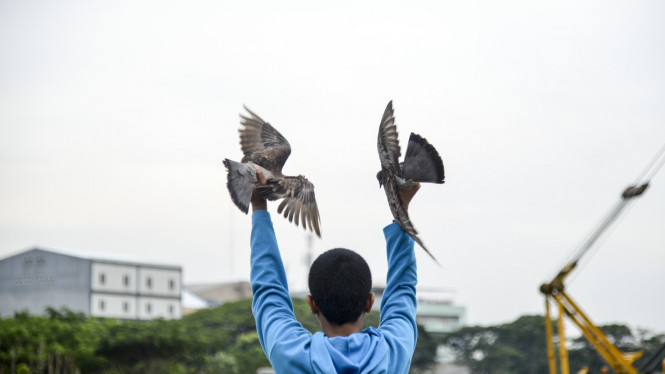 10 Benda di Rumah yang Dianggap Penghambat Anda Jadi Kaya